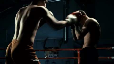 Stock Video Men Practicing Boxing On The Rin Animated Wallpaper - Free Live Wallpaper
