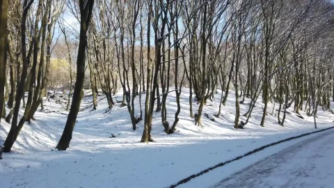 Stock Video Melting Snow By The Roa Animated Wallpaper - Free Live Wallpaper