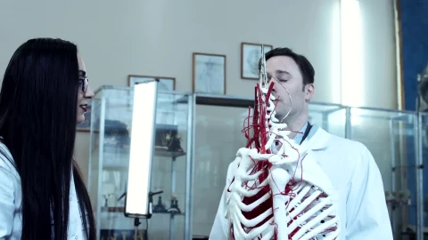 Stock Video Medical Students With Dummy Skeleto Animated Wallpaper - Free Live Wallpaper