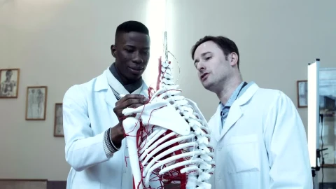 Stock Video Medical Students Learning With Dummy Skeleto Animated Wallpaper - Free Live Wallpaper