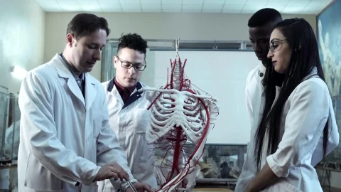 Stock Video Medical Students At Anatomy Lecture In An Universit Animated Wallpaper - Free Live Wallpaper