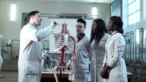 Stock Video Medical Students At Anatomy Lectur Animated Wallpaper - Free Live Wallpaper