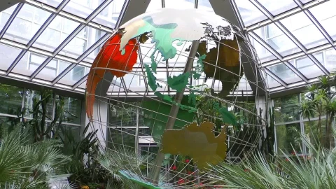 Stock Video Mechanical World Globe In A Greenhous Animated Wallpaper - Free Live Wallpaper