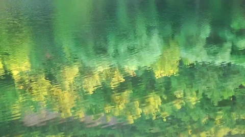 Stock Video Meadow Reflected In The Water Of A Calm Rive Animated Wallpaper - Free Live Wallpaper