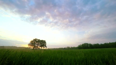 Stock Video Meadow Landscap Animated Wallpaper - Free Live Wallpaper