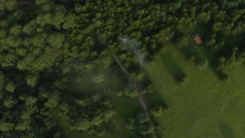 Stock Video Meadow In The Middle Of A Forest Seen From Abov Animated Wallpaper - Free Live Wallpaper