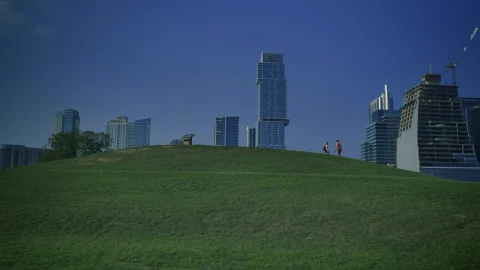 Stock Video Meadow In A Park Surrounded By A Big Cit Animated Wallpaper - Free Live Wallpaper