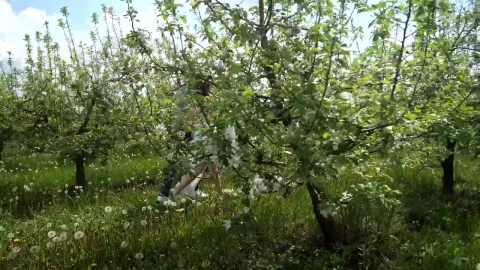 Stock Video Married Couple Running Through Tree Animated Wallpaper - Free Live Wallpaper