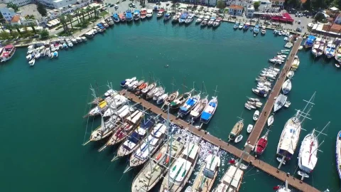 Stock Video Marina Aerial Vie Animated Wallpaper - Free Live Wallpaper