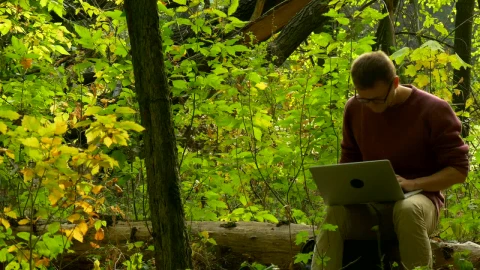 Stock Video Man With Laptop Sitting On A Fallen Tre Animated Wallpaper - Free Live Wallpaper