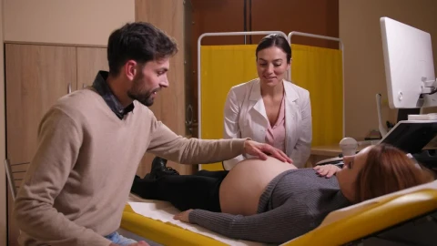 Stock Video Man With His Pregnant Wife At The Hospita Animated Wallpaper - Free Live Wallpaper