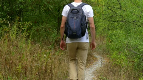 Stock Video Man With Backpack Walking On A Forest Pat Animated Wallpaper - Free Live Wallpaper