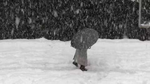 Stock Video Man With An Umbrella Walking In The Sno Animated Wallpaper - Free Live Wallpaper