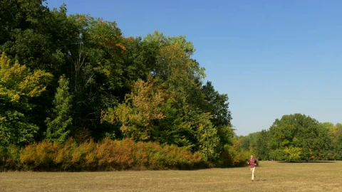 Stock Video Man With A Backpack Running On The Countrysid Animated Wallpaper - Free Live Wallpaper
