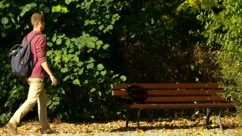 Stock Video Man With A Backpack On A Park Bench Takes Ou Animated Wallpaper - Free Live Wallpaper