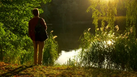 Stock Video Man Watching The Sunset On The Shore Of A Lak Animated Wallpaper - Free Live Wallpaper