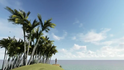 Stock Video Man Watching The Calm Sea From An Island In Animated Wallpaper - Free Live Wallpaper