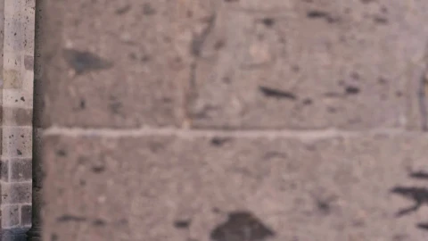 Stock Video Man Walks As He Plays An Accordio Animated Wallpaper - Free Live Wallpaper