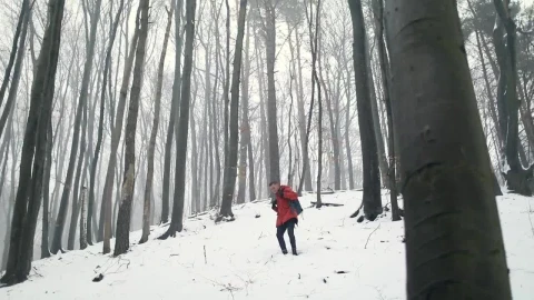 Stock Video Man Walking Through The Snow In The Wood Animated Wallpaper - Free Live Wallpaper