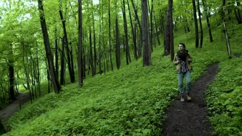 Stock Video Man Walking Through The Path In A Green Fores Animated Wallpaper - Free Live Wallpaper