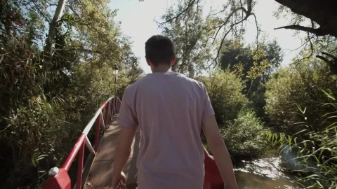 Stock Video Man Walking On A Bridge In A Park Tracking Sho Animated Wallpaper - Free Live Wallpaper