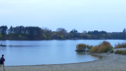 Stock Video Man Walking In The River Shor Animated Wallpaper - Free Live Wallpaper