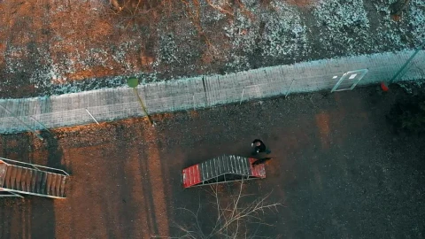 Stock Video Man Walking His Dog In A Park Aerial Sho Animated Wallpaper - Free Live Wallpaper