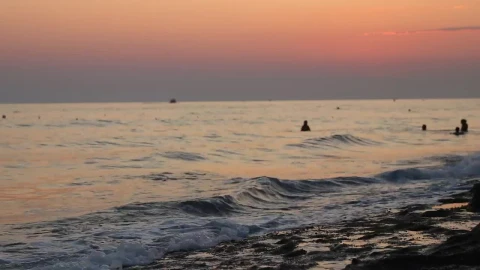 Stock Video Man Walking Along The Shore Of A Beach At Sunse Animated Wallpaper - Free Live Wallpaper