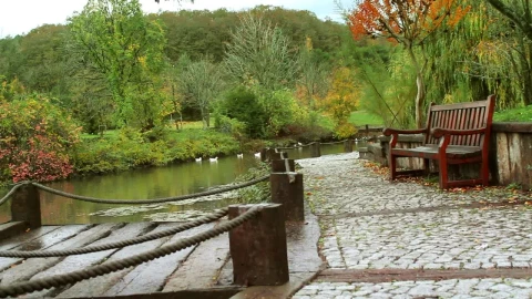 Stock Video Man Walking Along The Shore Of A Lake With Duck Animated Wallpaper - Free Live Wallpaper