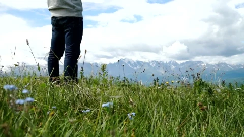 Stock Video Man Using Mobile Gps In Mountain Meado Animated Wallpaper - Free Live Wallpaper