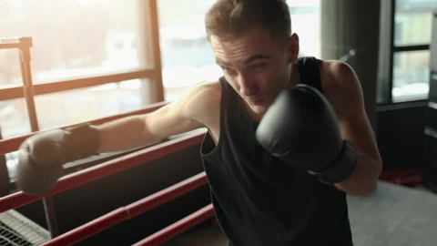 Stock Video Man Training With Gloves In Boxing Rin Animated Wallpaper - Free Live Wallpaper