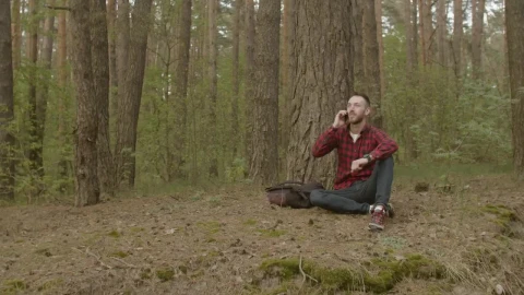 Stock Video Man Talking On The Phone In A Fores Animated Wallpaper - Free Live Wallpaper