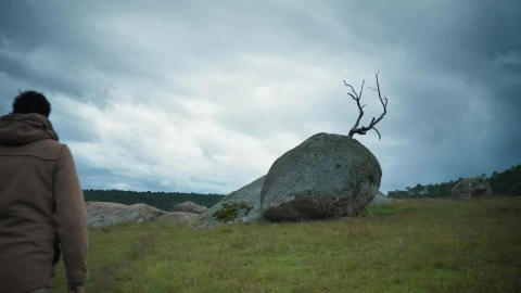 Stock Video Man Taking Pictures Of A Big Stone With His Phon Animated Wallpaper - Free Live Wallpaper