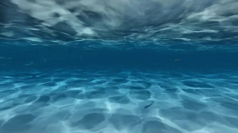 Stock Video Man Swimming Under The Gentle Waves Of The Se Animated Wallpaper - Free Live Wallpaper