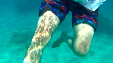 Stock Video Man Swimming In Turquoise Wate Animated Wallpaper - Free Live Wallpaper