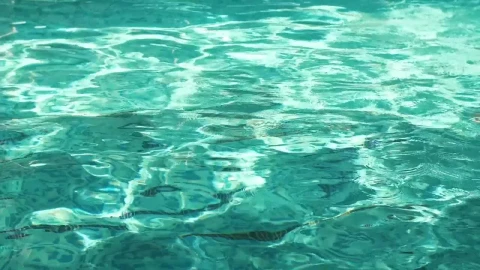 Stock Video Man Swimming In Slow Motion In The Poo Animated Wallpaper - Free Live Wallpaper