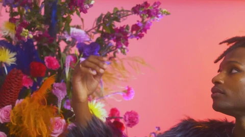 Stock Video Man Stroking The Petals Of A Large Flower Arrangemen Animated Wallpaper - Free Live Wallpaper