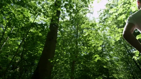 Stock Video Man Standing In A Forest After Runnin Animated Wallpaper - Free Live Wallpaper