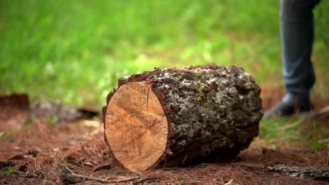 Stock Video Man Splitting A Piece Of Log With An A Animated Wallpaper - Free Live Wallpaper