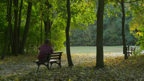 Stock Video Man Spending Time In A Park In Natur Animated Wallpaper - Free Live Wallpaper
