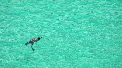 Stock Video Man Snorkeling In Crystal Water Animated Wallpaper - Free Live Wallpaper