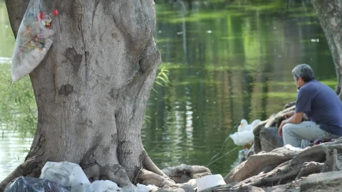 Stock Video Man Sitting On The Bank Of A River With Duck Animated Wallpaper - Free Live Wallpaper