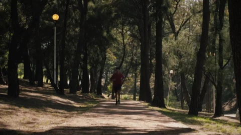 Stock Video Man Running On Trail In The Par Animated Wallpaper - Free Live Wallpaper