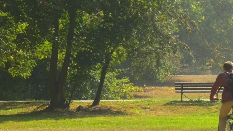 Stock Video Man Riding His Bicycle On The Par Animated Wallpaper - Free Live Wallpaper