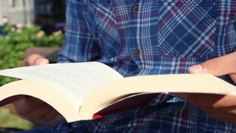 Stock Video Man Reading A Book In The Sun In A Par Animated Wallpaper - Free Live Wallpaper