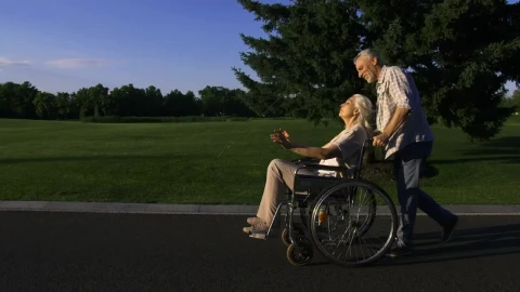 Stock Video Man Pushing His Wife Through The Par Animated Wallpaper - Free Live Wallpaper
