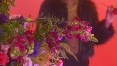 Stock Video Man Placing A Rose On His Ear In A Feminin Animated Wallpaper - Free Live Wallpaper