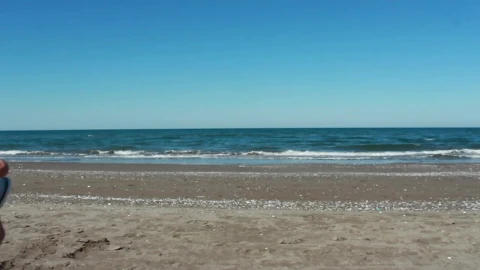 Stock Video Man Photographing The Sea In A Sunny Beac Animated Wallpaper - Free Live Wallpaper