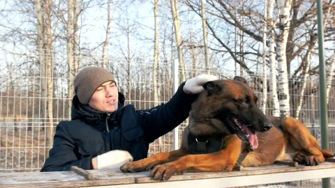 Stock Video Man Petting A Big Dog In The Par Animated Wallpaper - Free Live Wallpaper
