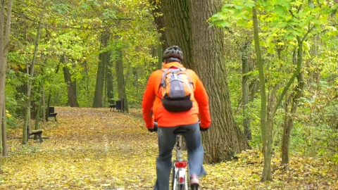 Stock Video Man Pedaling Through The Park In Autum Animated Wallpaper - Free Live Wallpaper
